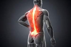Hernia discal: causas, síntomas y tratamientos modernos